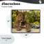 «Leopard Gazing Relaxation», estampe numérique, conception par MJ Photographie-862477198-862477199