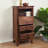 Accent Chest