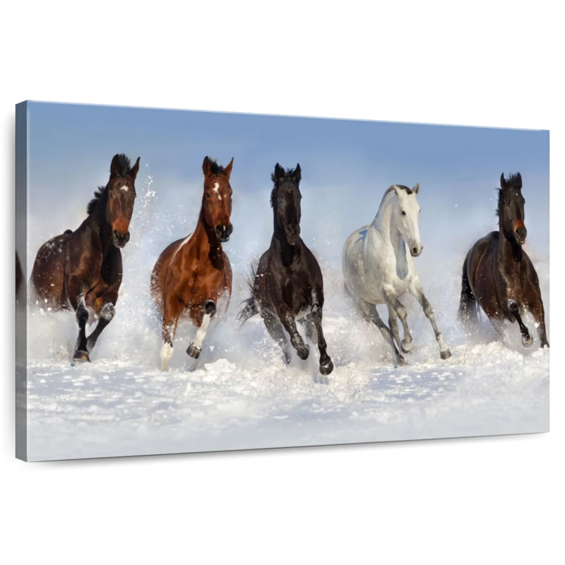 Crowle Horses Roaming In Snow, 8" H x 12" W