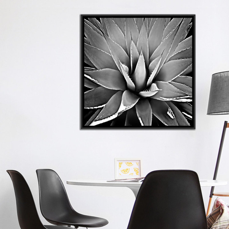 « succulent iii », impression sur toile, H 18 po x l 18 po x P 1,5 po, Toile avec cadre noir, Pas de tapis