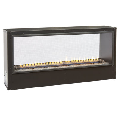 Bluegrass Living Linear Fireplace Two-Sided Viewing Kit - 48 in. - Model# L2S48-1