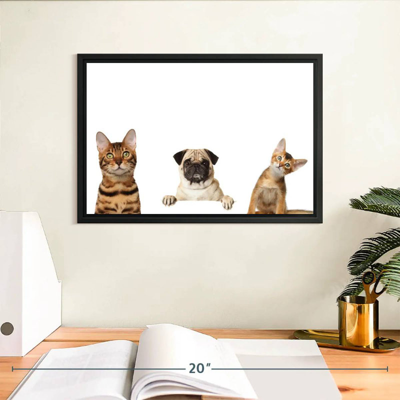 Pug And Cats, 9" H x 13" W