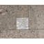 SeaTile 4"x 4" Natural Shell Listello/Border Tile in White Mother of Pearl