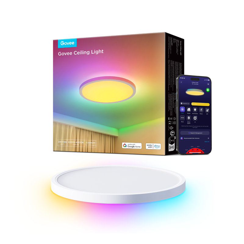  12-Inch RGBWW + RGBIC Smart Ceiling Light
