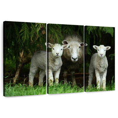 Brampt Sheep Family