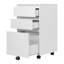 Orrin 40cm Wide 3 -Drawer Mobile File Cabinet-630480699