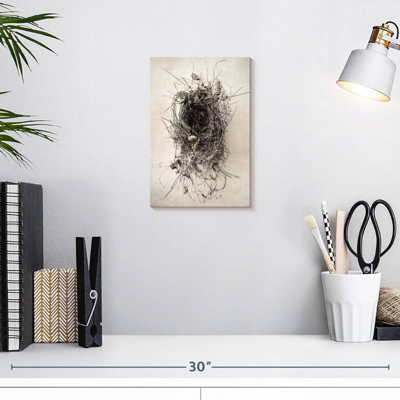 Brampt Nest II, H 12 po x l 8 po