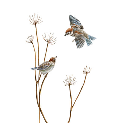 "Birds 1" par Leah Tedesco sur toile