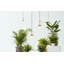 Moai 1 - Light Pendant-30060568-30060570