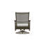 Wexler Outdoor Swivel Lounge Chair-1099678802-1102391097