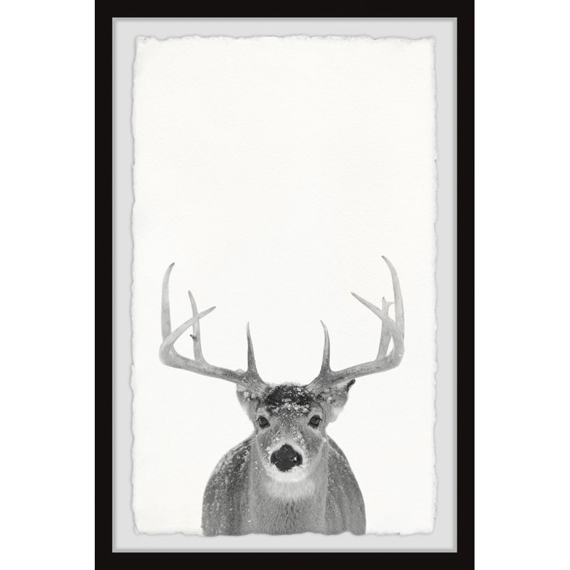 «Gray Deer», reproduction encadrée, H 30 po x l 20 po x P 1,5 po