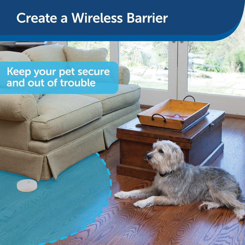 PetSafe Adjustable Indoor Pet Barrier with Receiver Collar