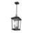 Bourke 2 - Light Outdoor Hanging Lantern-1683147483