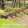 Jenkinsburg 2-Person Soft-Spun Polyester Rope Spreader Bar Hammock with 600 lb Capacity