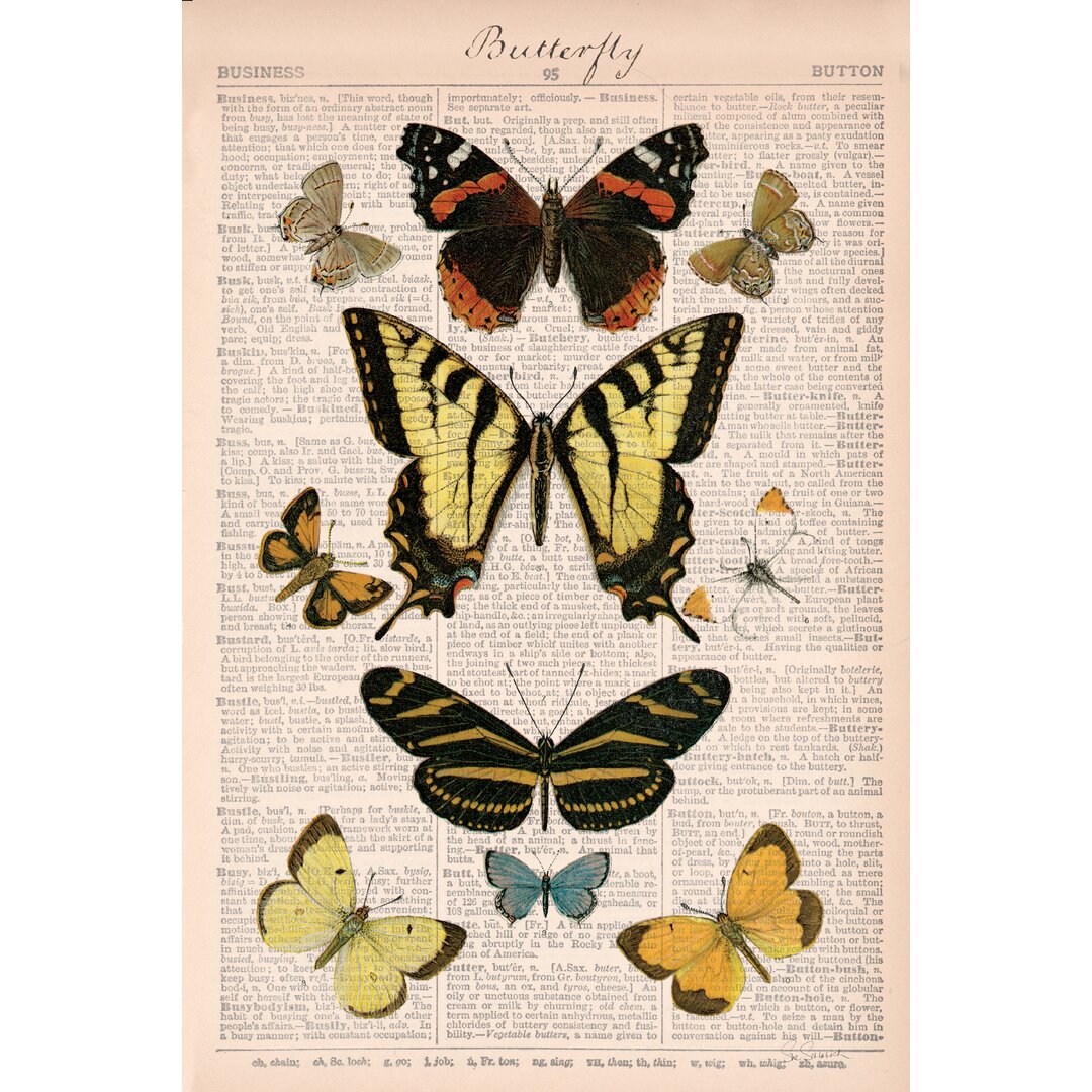 Leinwandbild American Butterflies I von Sue Schlabach