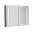 Armoire à pharmacie 40 po x 30 po à DEL pour la salle de bain, miroir, brouillard, éclairage à intensité variable, 3 options de couleur, tablette ajustable avec loupe intégrée, armoire lumineuse pour la salle de bain, à intensité variable, aluminium