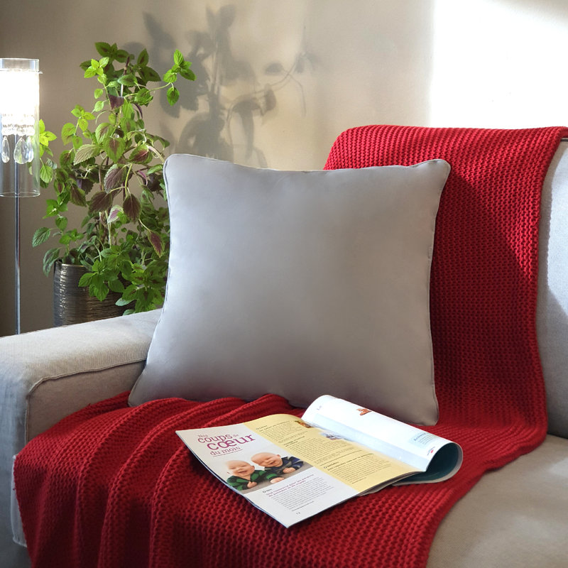  Velvet Throw Pillow 20 X 20, Silver