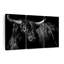 Brindle Rodeo Bull - 3 pièces sur toile tendue-223507136