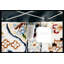 Walton Oriental Area Rug in Light Brown/Blue/Cream