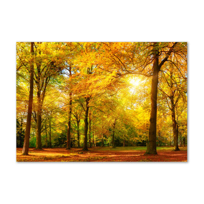 Autumn Forest - Wrapped Canvas Print