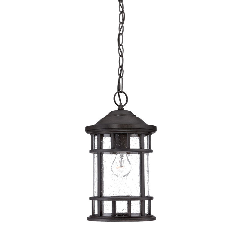 Lanterne suspendue d'extérieur à 1 ampoule Pierceton H 15,25 po, Corail noir