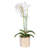 20.5'' Faux Flowering Plant in Pot