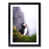 Black Framed