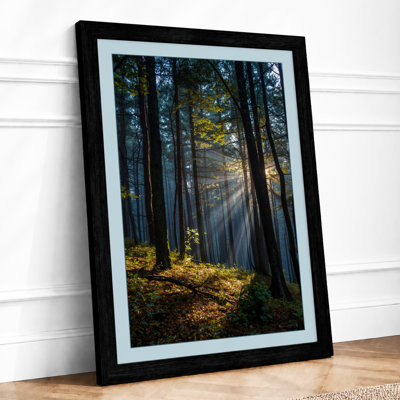 Light Through Woodland Scandinavian - Framed Print