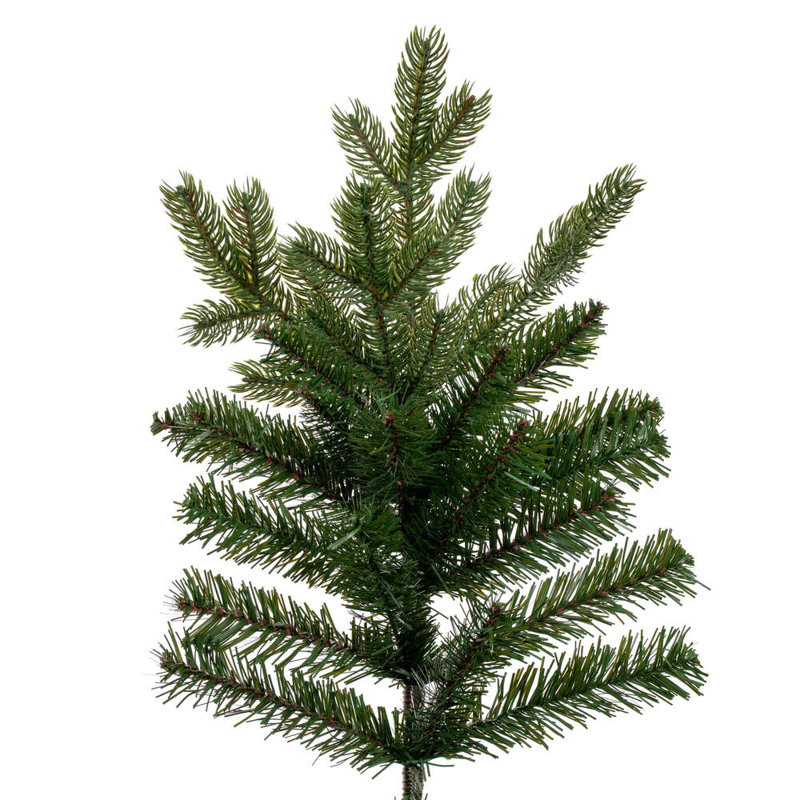 Washington Washington Fir 4499T, 12'