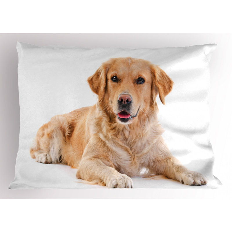 Pillow Sham, Twin