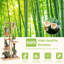 Tameem Plant Stand