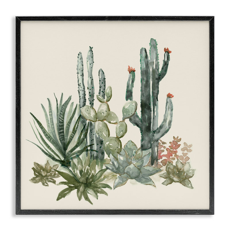 Mojave Green Succulents, giclée encadrée, design par Nan, H 12 po x l 12 po, Giclée encadrée noir minuit