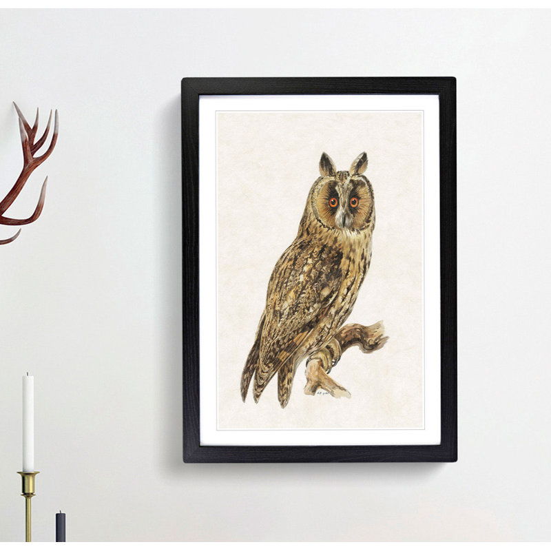 Long-Eared Owl by Von Wright - Picture Frame Painting Print, Black, 50cm H x 35cm W x 2cm D