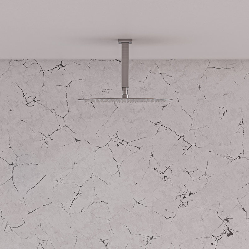 Rain Rain Shower Head 1.8 GPM GPM, Brushed Stainless Steel