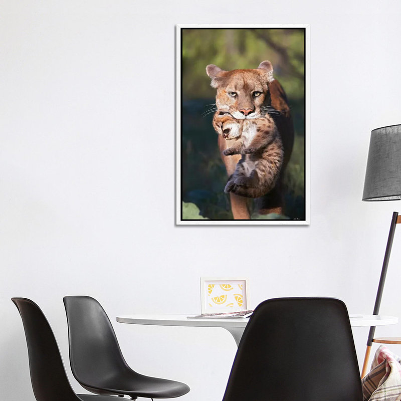 Mountain Lion Mother Carrying Cub In Her Mouth, North America 1 Piece Wall Art on Canvas, 101.6 cm H x 66.04 cm W