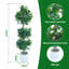 120cm Plant-1534600822