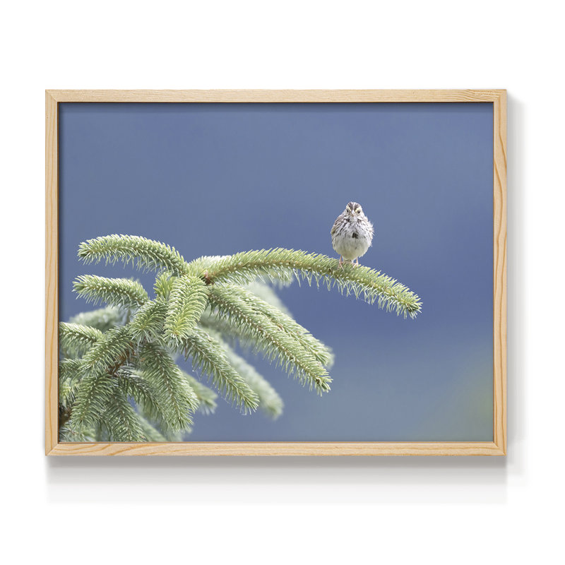 Evergreen Perch -Framed Print - Restickable, 8" H x 10" W, Natural