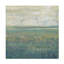 «Sage Terrain I» par Timothy O 'Toole, impression sur toile tendue-108108515