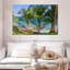 Tropical Nicaragua Gillard