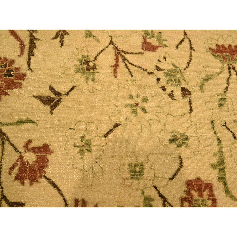 Tapis Biscotti brun 10 pi x 13 pi 10 po, Agra, motif de feuilles, velours zéro, 100% laine, noué à la main, colorants végétaux, tapis oriental