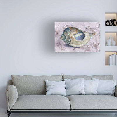 Donna Basile Conch Shell Canvas Art