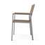 Chaises en bois de corail Cape et corail [ensemble de 2 pièces]