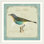 « ii » par sue schlabach, impression Parisian Bird