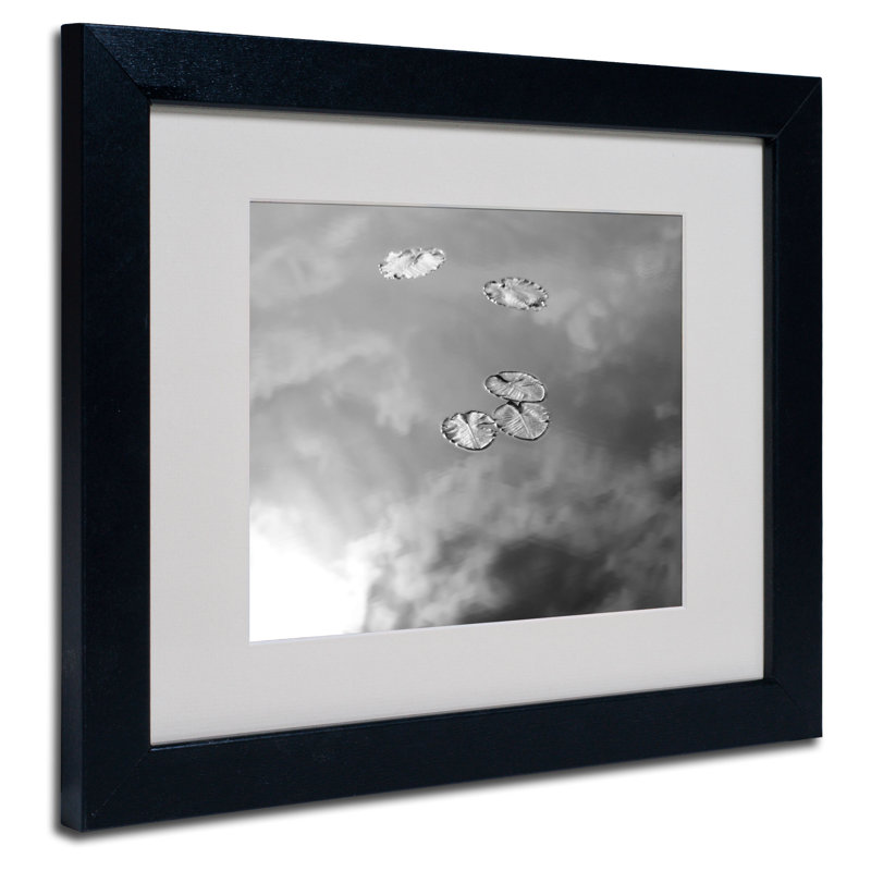 « lily pad & sky » par patty tuggle, impression encadrée encadrée, H 11 po x l 14 po x P 0,5 po, Noir