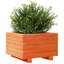 Bhavika Planter Box-1814111146-1814111163