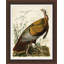 Audubon's Turkey Painting