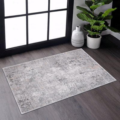 2X3 Non-Shedding For Living Room For Bedroom Dining Home Office Stylish And Stain Resistant Area Rug
