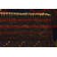 Tapis bleu marine Orcutt