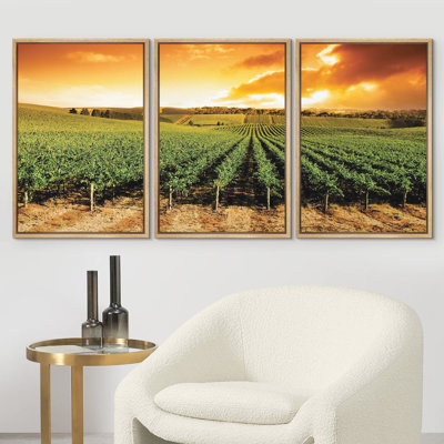 Contemporary Art, Modern Gorgeous Sun Over Vineyard Giclee Artworkped Wood Stretcher Bars