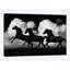 «Wild Horses», impression sur toile-33357594-72400759-72400754